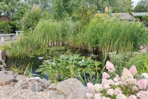 Ein Garten an der Unterkunft Einraumapartment mit Seeblickbalkon