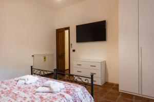 ein Schlafzimmer mit einem Bett und einem TV an der Wand in der Unterkunft Conce Apartment in Pisa
