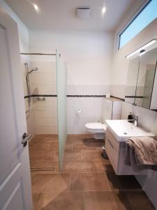 ein Bad mit einer Dusche, einem Waschbecken und einem WC in der Unterkunft Ferienwohnung Marder in Münster