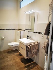 W łazience znajduje się umywalka, toaleta i lustro. w obiekcie Ferienwohnung Marder w Münster