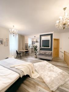 a large bedroom with a large bed and a television at New Deluxe Studio Apartment in quiet back house in Dresden
