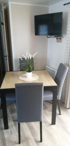 einen Esstisch mit einer Topfpflanze darauf in der Unterkunft Mobil home moderne neuf et ultra équipé de 6 à 8 couchages in Canet-en-Roussillon