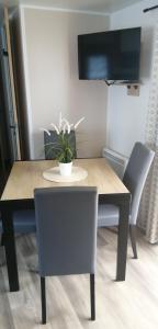 Mobil home moderne neuf et ultra équipé de 6 à 8 couchages的电视和/或娱乐中心