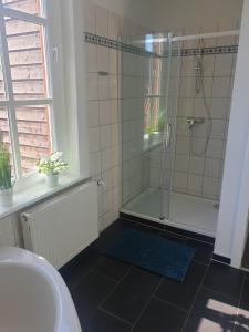 Un baño con ducha, inodoro y lavabo. en Ferienwohnung Leonie, en Goslar