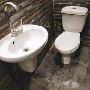 a bathroom with a toilet and a sink at Elredy's apartments the blue edition in Cairo