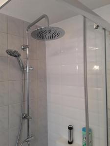 a shower with a shower head in a bathroom at Ferienwohnung Weiland in Lutherstadt Eisleben
