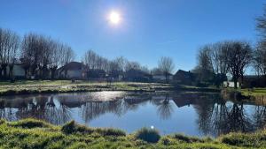 a river with the sun reflecting in the water at Camping Les Sources Liencourt in Liencourt +7 photos