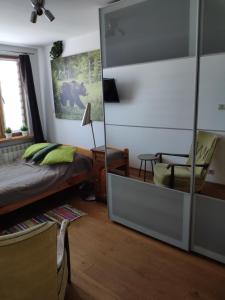 a bedroom with a bed and a chair and a mirror at Rupicapra in Zakopane