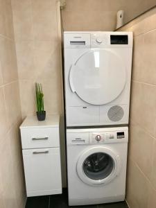 a washing machine with a mirror on top of it at Petten Beach 17 in Petten