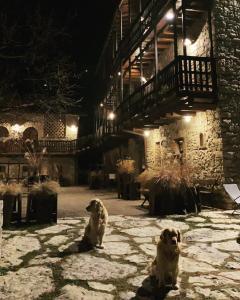 two dogs sitting in front of a building at night at Cascina Belvedì in Clanezzo