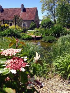 un jardín con un estanque, una casa y flores en Au Jardin de la Marquetterie en Cigogné