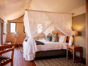 1 dormitorio con cama con dosel en una tienda de campaña en Mankwe Tented Retreat, en Chiro Pan