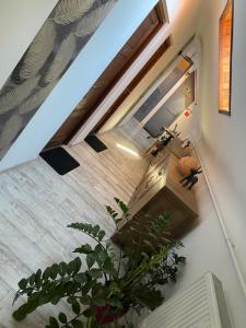 an overhead view of a staircase in a house at Babylon Pizzéria Vendégház in Miskolc