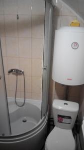 a bathroom with a shower and a toilet and a sink at Біля лісу (Апартаменти для сім'ї) in Slavske