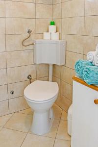 a bathroom with a white toilet in a room at Little House Orebić in Orebić +26 photos