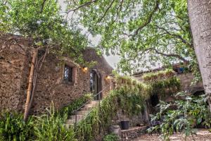 マスカルチーアにあるEtna Botanic Gardenの階段と木々のある古い石造りの家