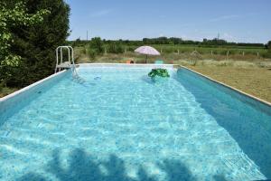 a swimming pool with an umbrella in a field at Boróka Tanya in Orgovány