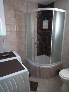 a bathroom with a shower and a toilet at Kuća za odmor Boki in Gospić