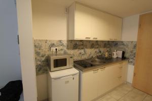 Kuchyň nebo kuchyňský kout v ubytování Velence Spa Lake Apartman