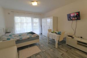 TV a/nebo společenská místnost v ubytování Velence Spa Lake Apartman