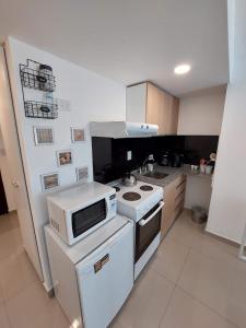 a kitchen with a white stove and a microwave at Oshowia in Ushuaia