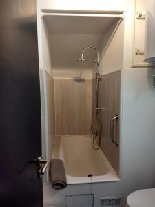 a bathroom with a bath tub with a shower at Le petit nid in Montgaillard