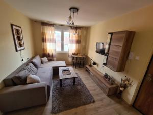 โทรทัศน์และ/หรือระบบความบันเทิงของ Grey & Sunny Apartments Zaječar