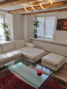 - un salon avec un canapé et une table en verre dans l'établissement Mornag AG Ferien Wohnung, à Weesen