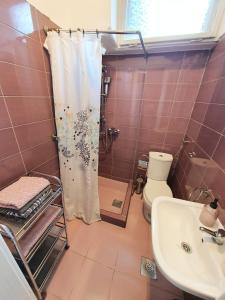 łazienka z prysznicem, toaletą i umywalką w obiekcie Apartments Aida w Sarajewie +20 zdjęć