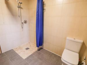 a shower with a toilet and a blue shower curtain at Chloe's Lodge in Pickering