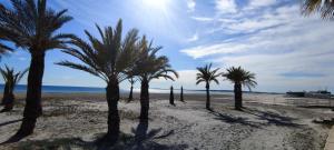 una fila di palme su una spiaggia sabbiosa di Beach Breeze Townhouse by the beach a Santa Pola