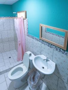 a bathroom with a toilet and a sink at Valerie Emanuel Apartments in Bocas Town