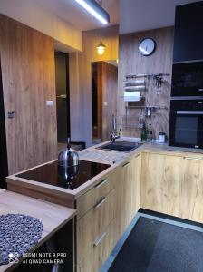 Η κουζίνα ή μικρή κουζίνα στο Apartament Aurora Kletno