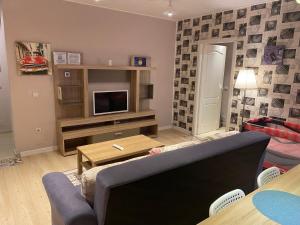 uma sala de estar com um sofá e uma televisão em IGI RED FLAT with free private parking em Cluj-Napoca