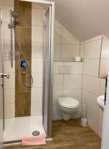 a bathroom with a shower and a toilet at Bauer´s Pension-Restaurant-Catering in Großhabersdorf +65 photos