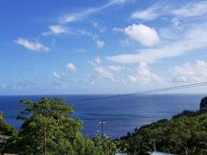 a view of the ocean from a hill at Best View Apartments in Anse La Raye