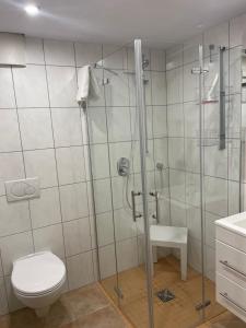a bathroom with a shower with a toilet and a sink at Ferienwohnung Probst in Ellenz-Poltersdorf
