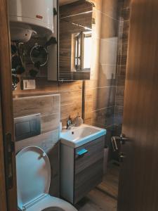 Vannituba majutusasutuses Apartman TRAG Divčibare