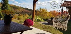 Fotografia z galérie ubytovania Napkert Apartman v destinácii Noszvaj