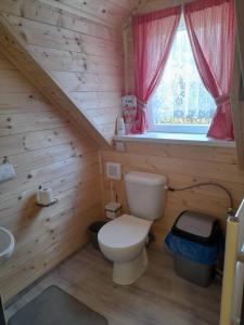 a bathroom with a toilet in a log cabin at Roubenka u potoka Výprachtice in Výprachtice