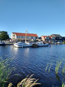 a group of boats docked on a river with houses at B&Bslapenopeeneiland in Kaag
