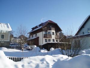 Apartmany Železná Ruda v zimě