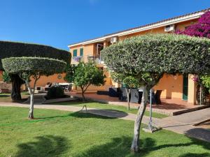 a group of trees in front of a building at Marasusa in Parghelia