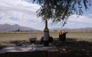 una botella de vino y una copa en una mesa en Ollagua Tiny House Sierra de la Ventana en Tornquist
