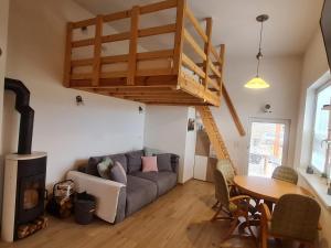 克拉尼APARTMA RANČ LUŽE的带沙发和壁炉的客厅