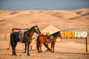 two horses standing next to a sign in the desert at Agafay Pearl Camp Marrakech in Marrakech