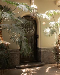 an entry door to a house with a plant at Casa Mannach in Mexico City