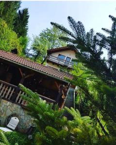 Billede fra billedgalleriet på Cabana Vânătorilor i Poiana Mărului + 13 billeder