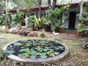 Taman di luar Sigiri Jungle Villa