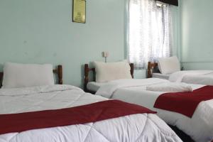 Una cama o camas en una habitación de Pushpa Guest House
